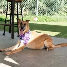 Tater — thumbnail 5