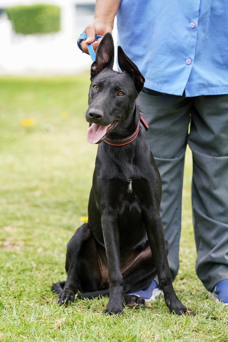 Tula photo 1