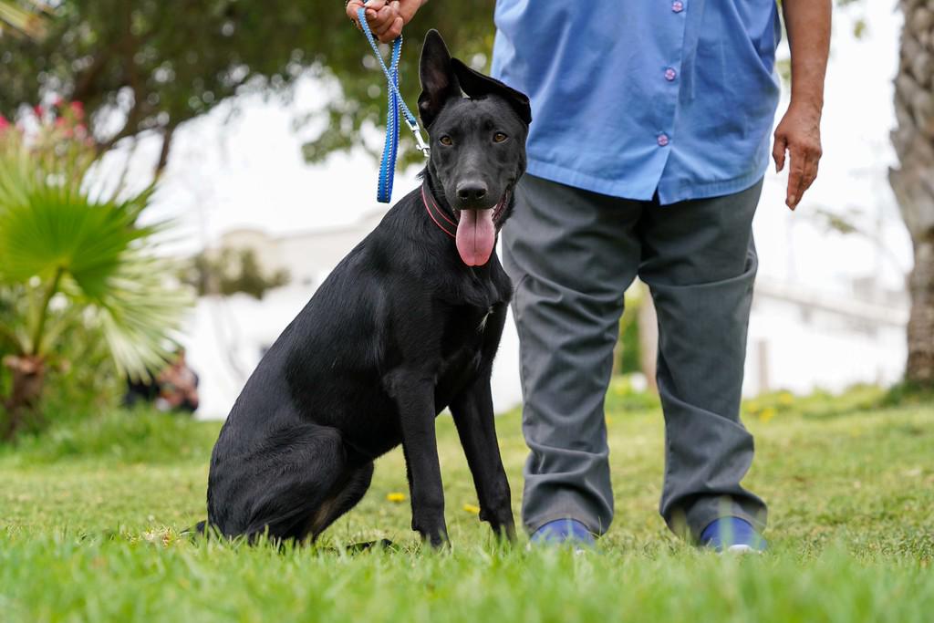 Tula photo 4