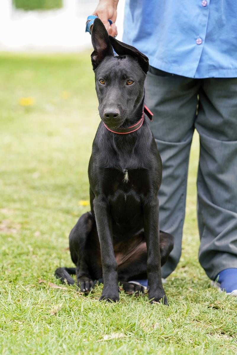 Tula photo 2