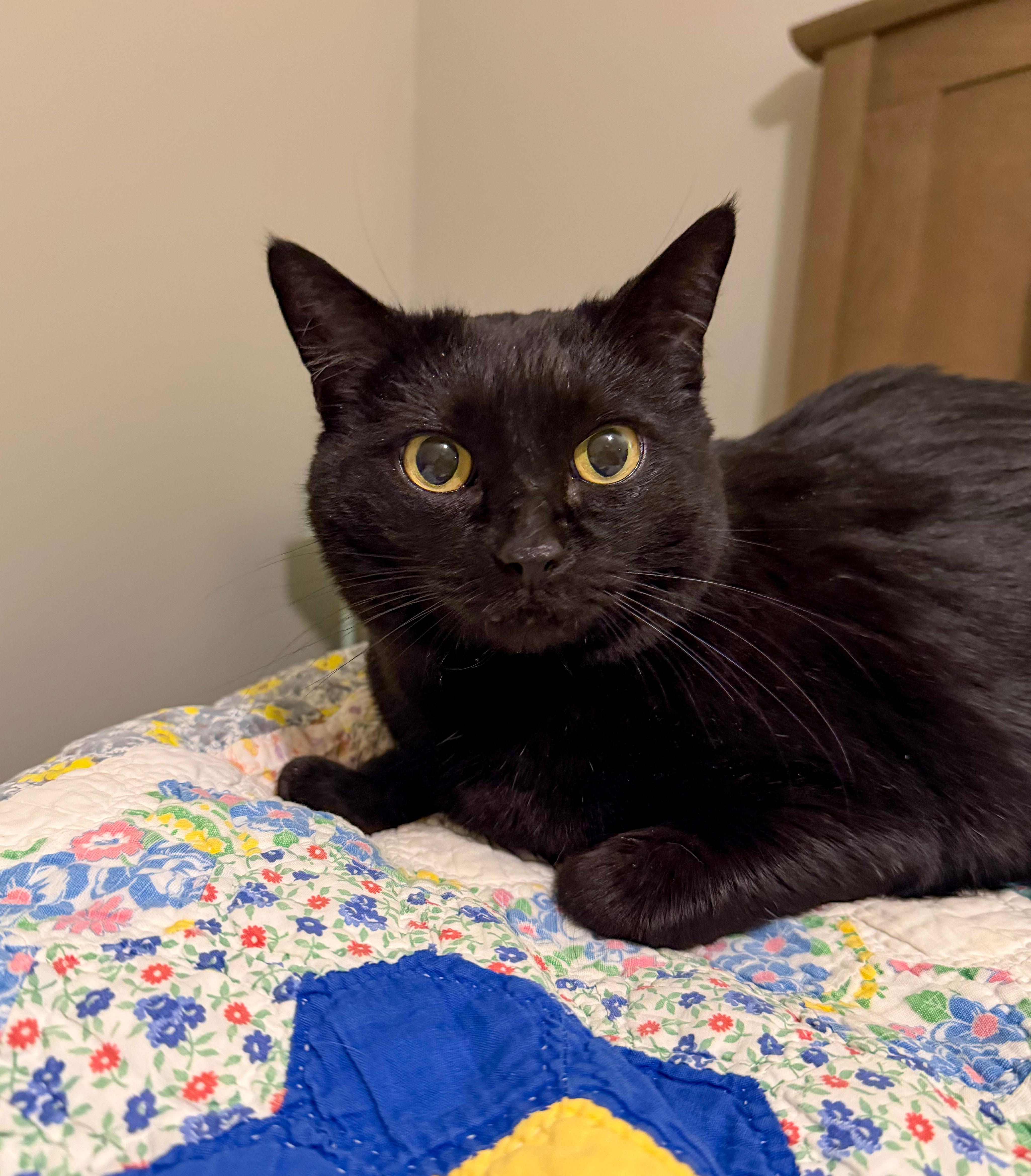 Jezzie — thumbnail 5