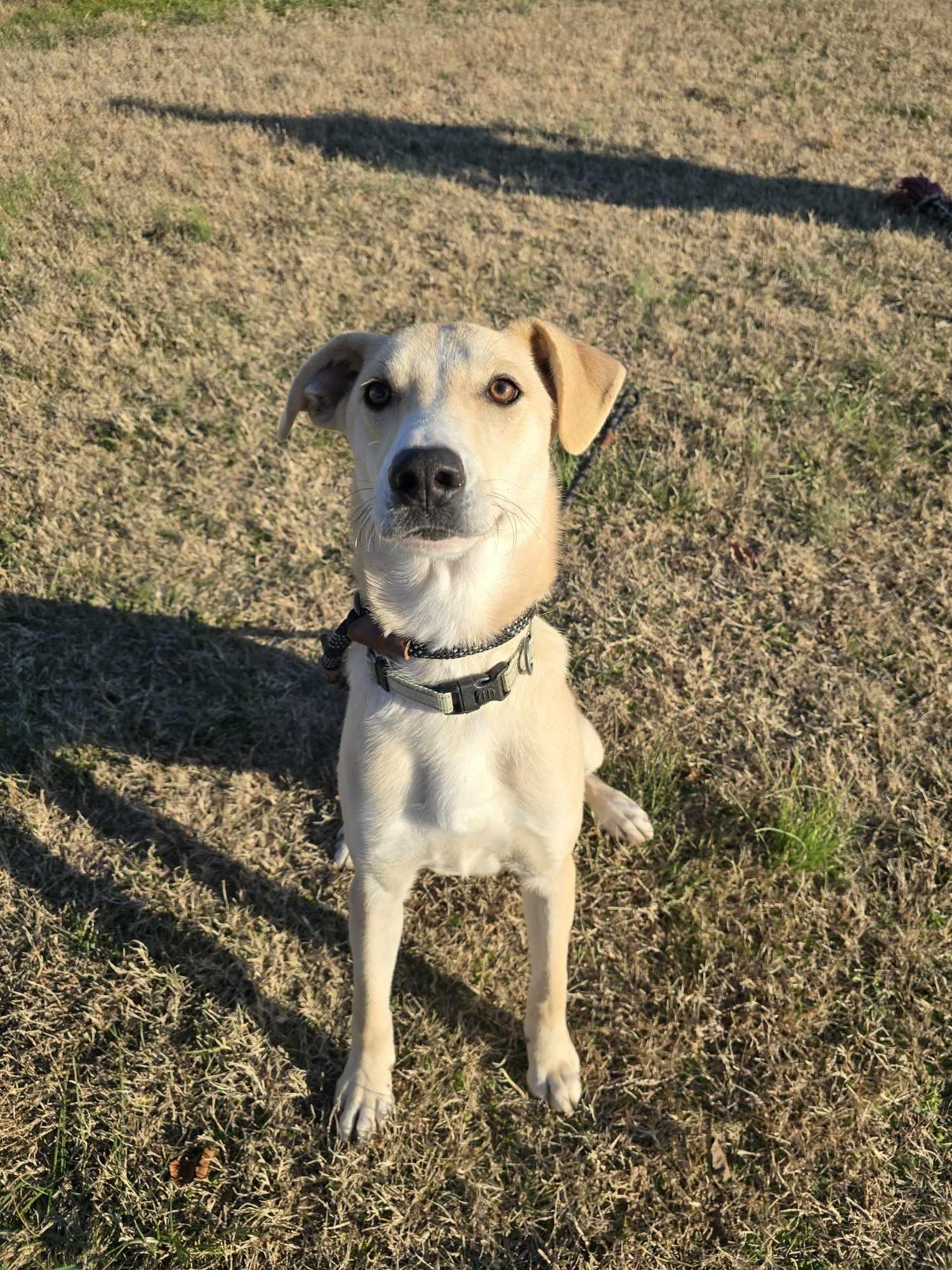 Rowan (Rescue)