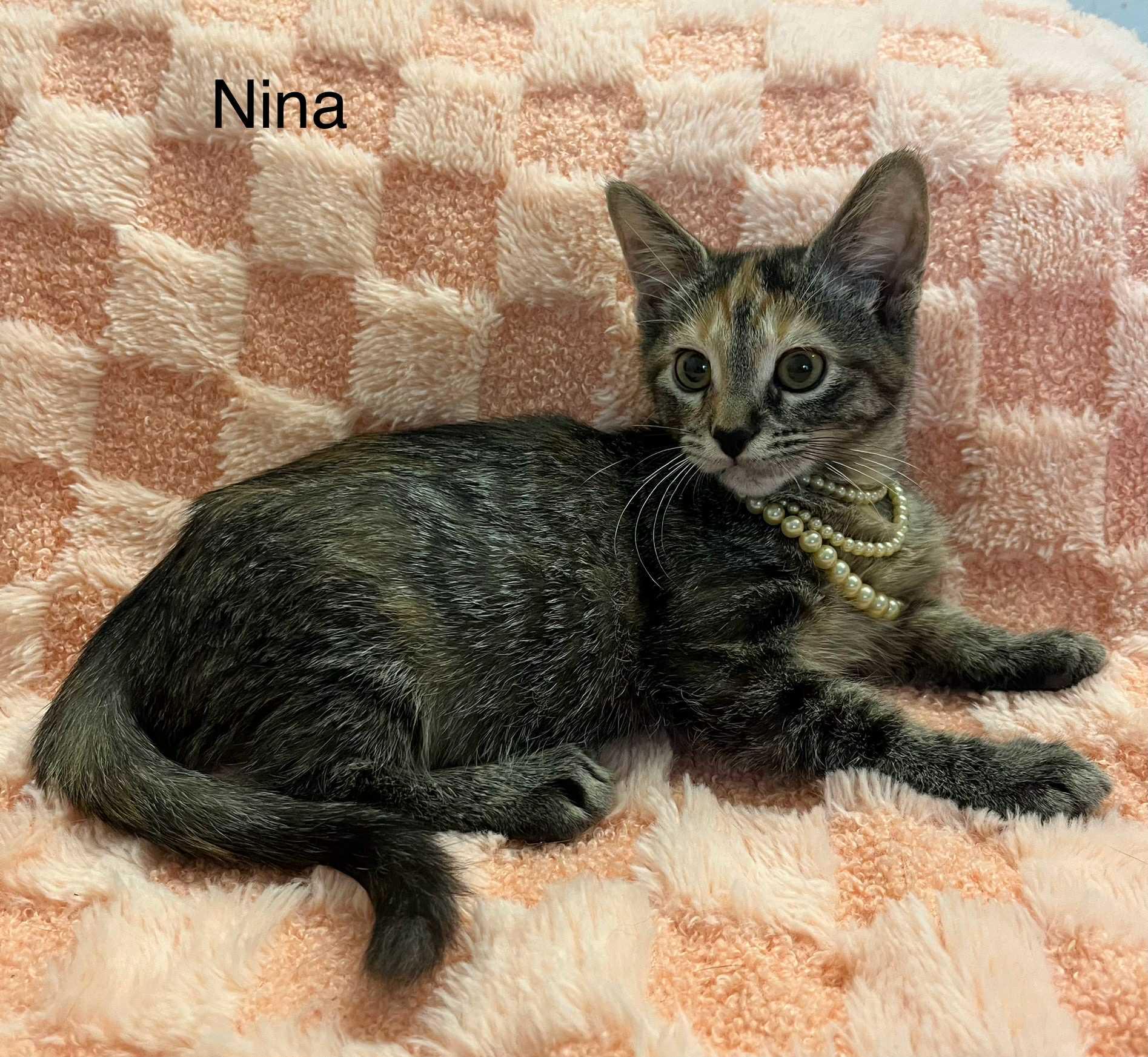 Nina