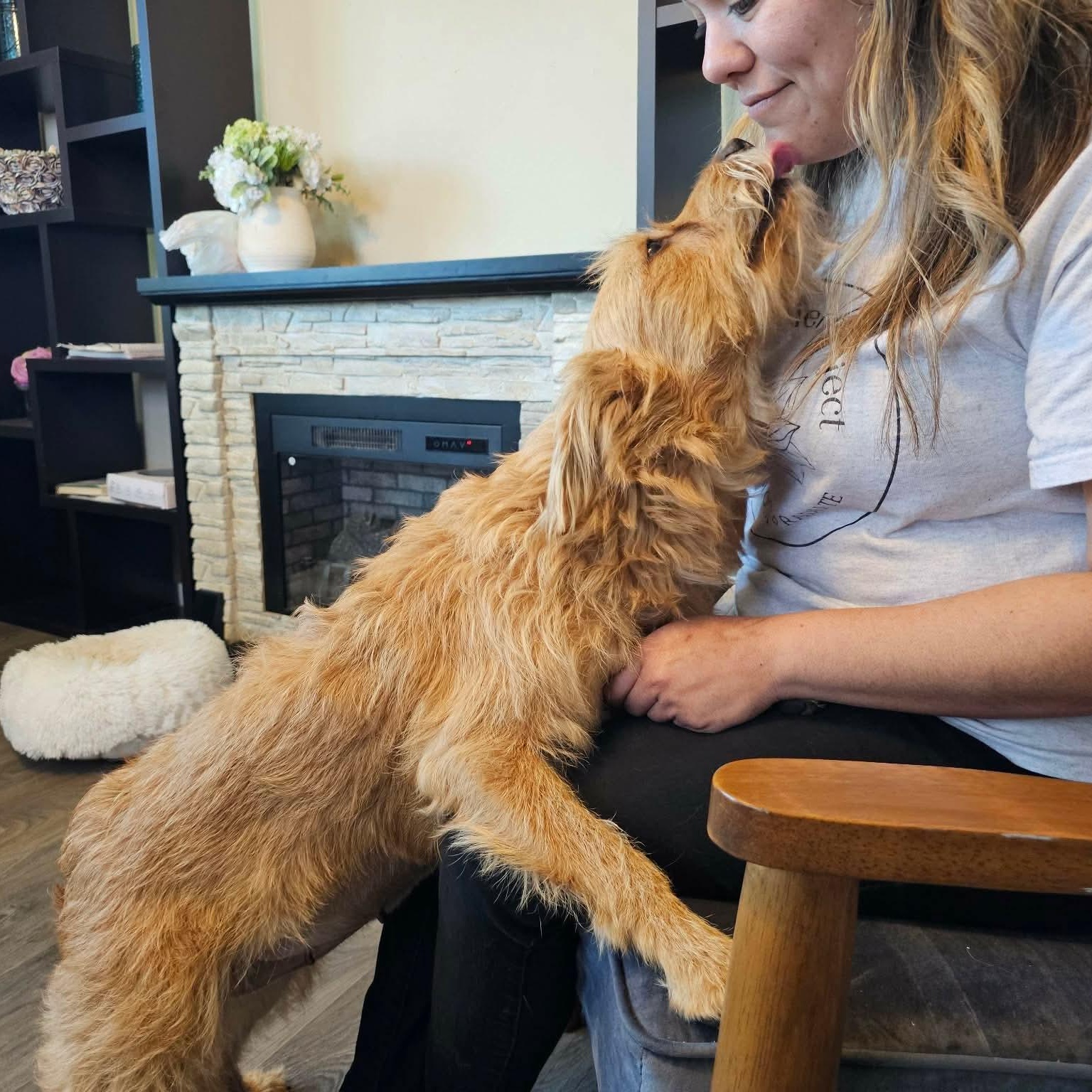 Mama Mia, an adopted mixed breed in Denver, CO image 3/6