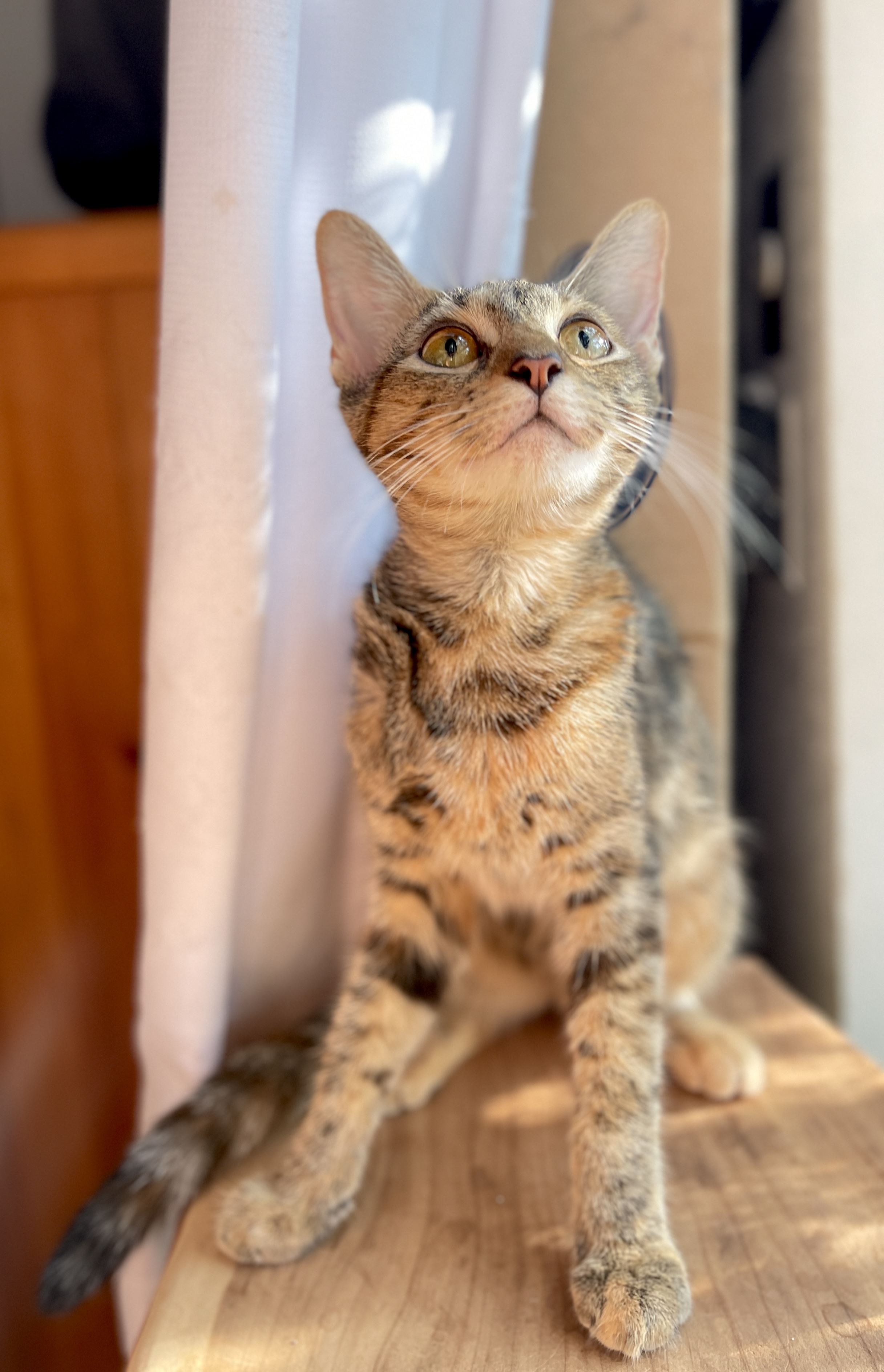 Hope photo 4