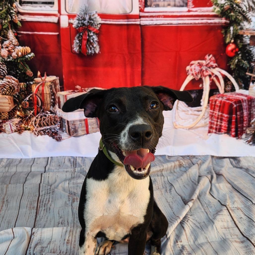 Shelly JuM — thumbnail 5