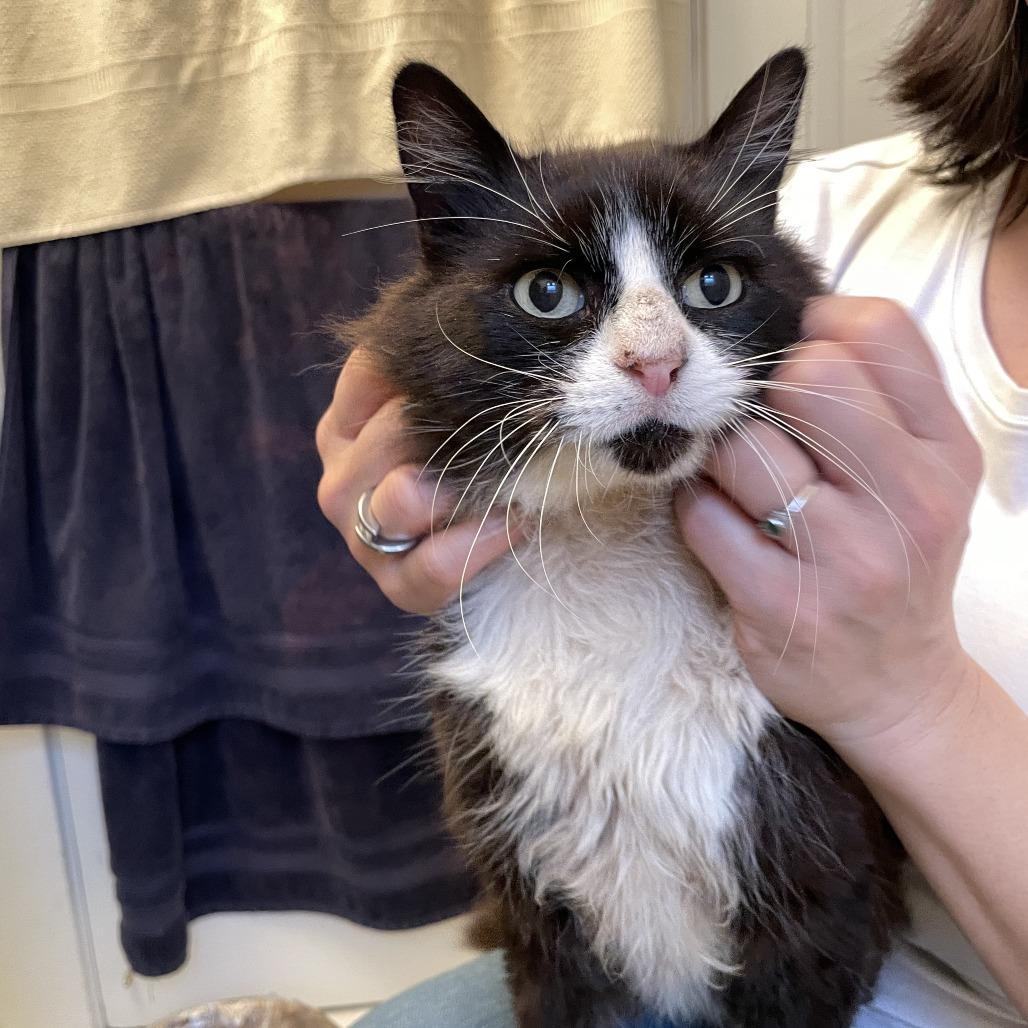 MARSHALL — thumbnail 2