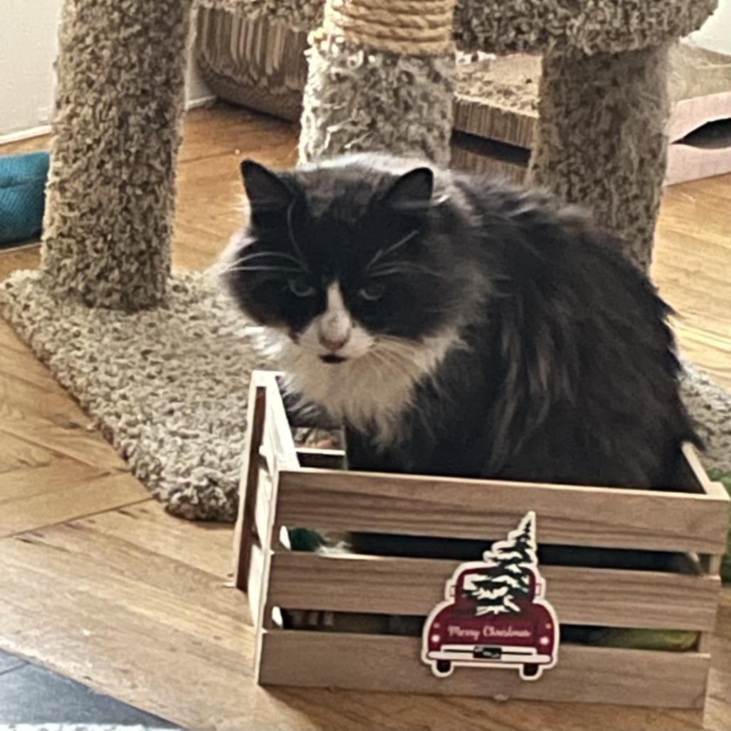 MARSHALL — thumbnail 3