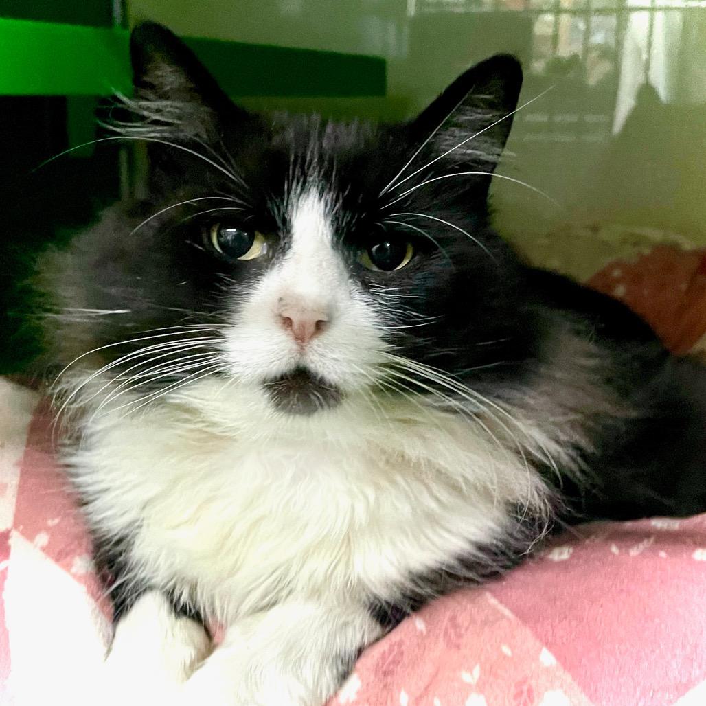 MARSHALL — thumbnail 5