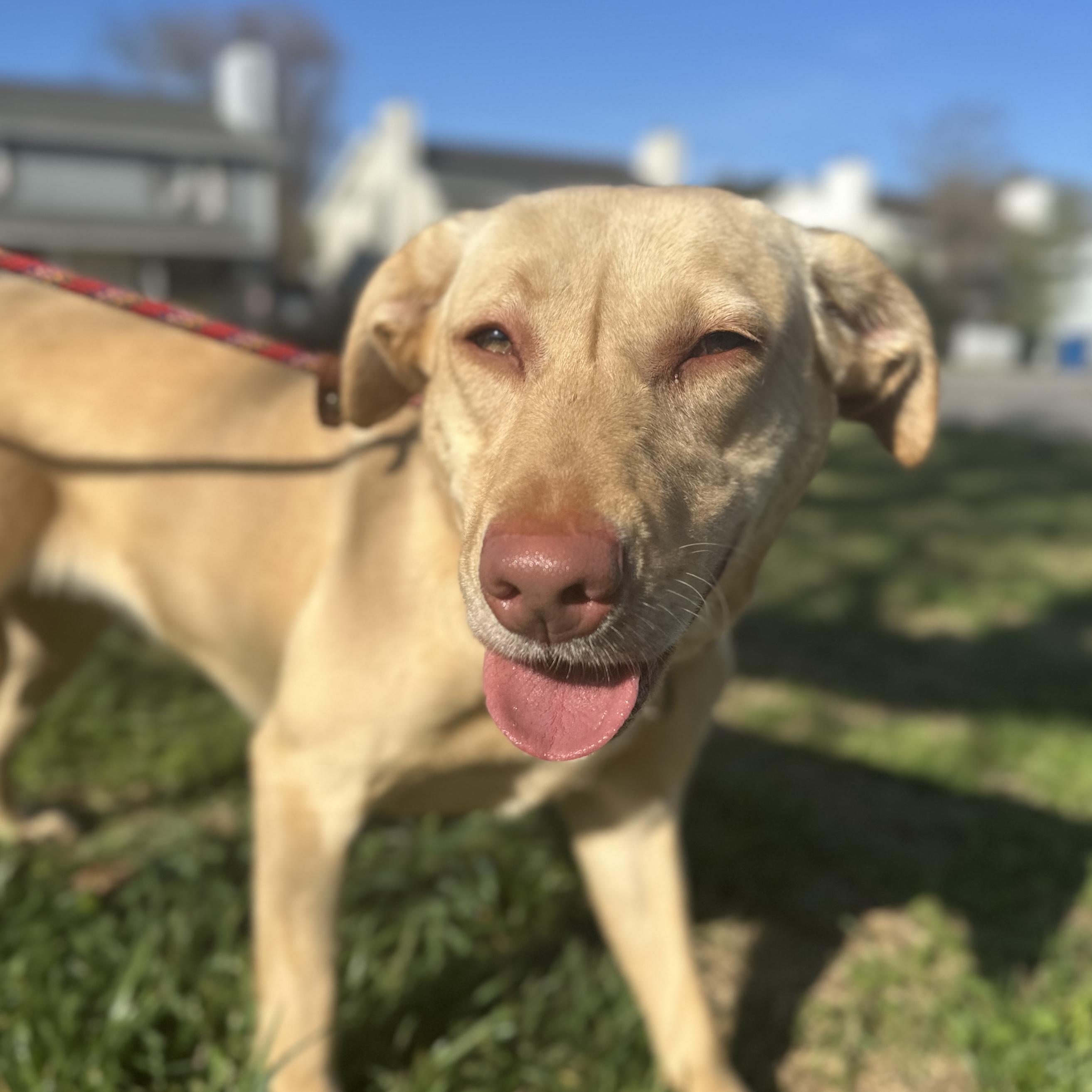 Clarkson — thumbnail 2