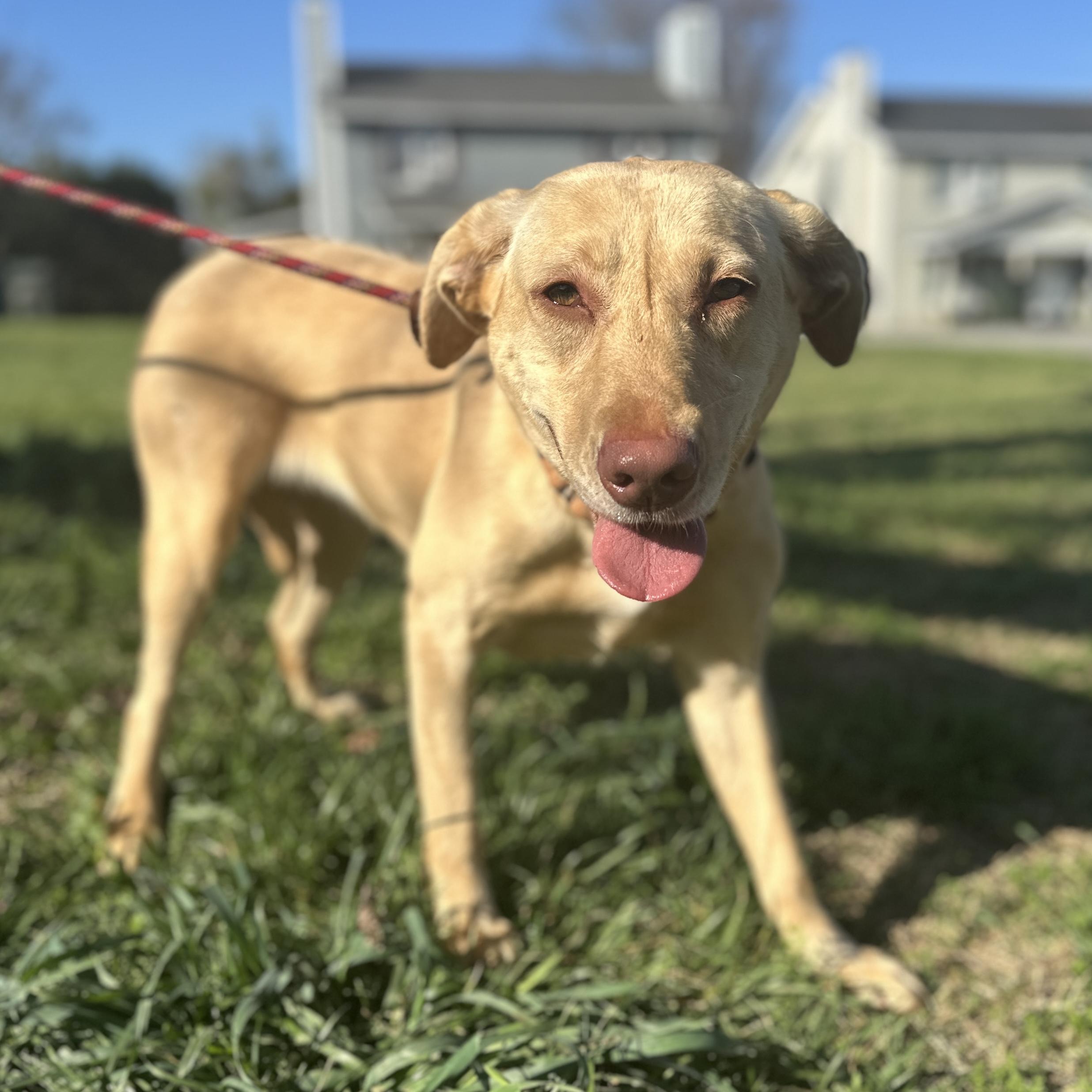 Clarkson — thumbnail 3