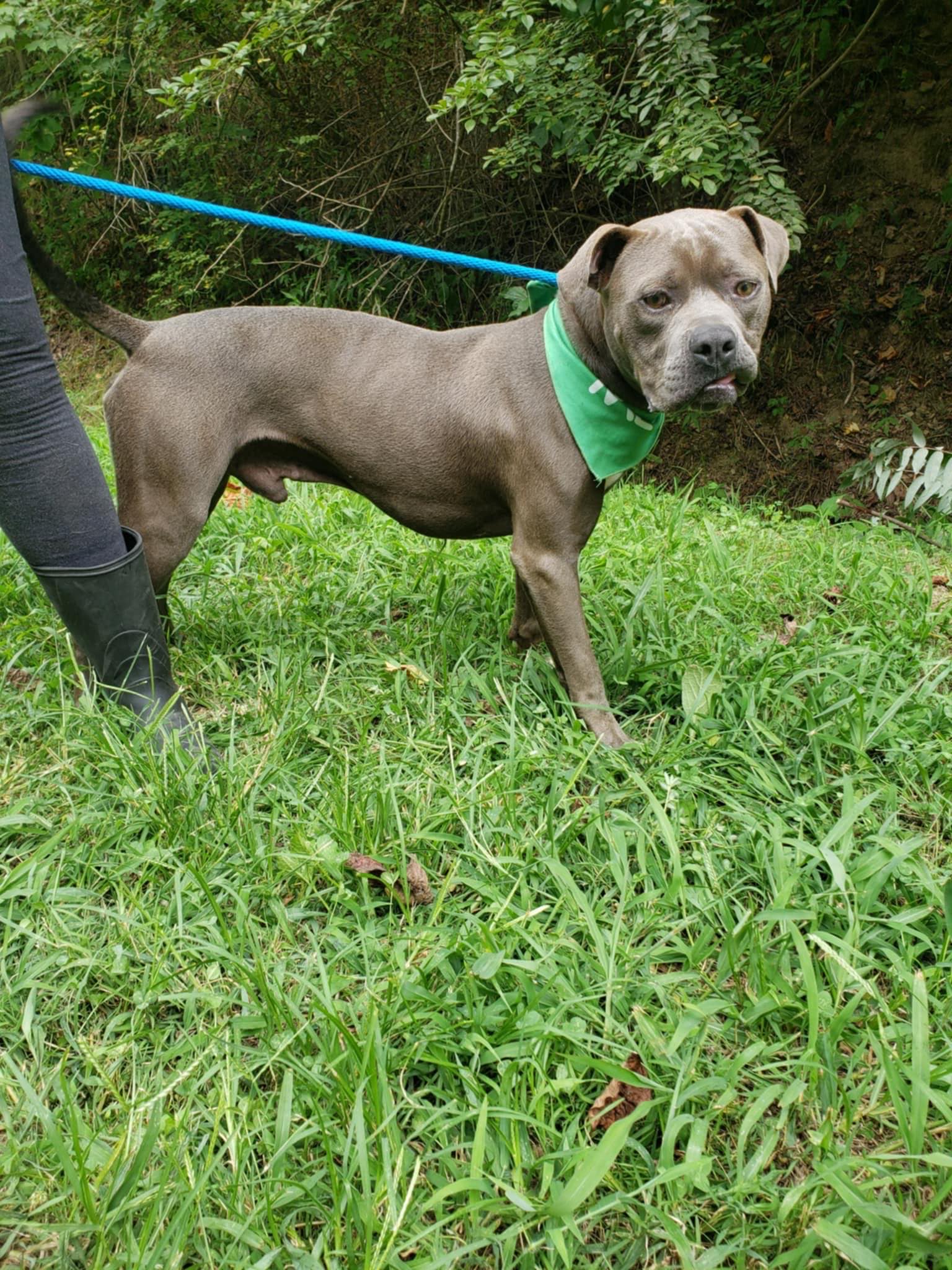Mister Junior (20240731-04) 3