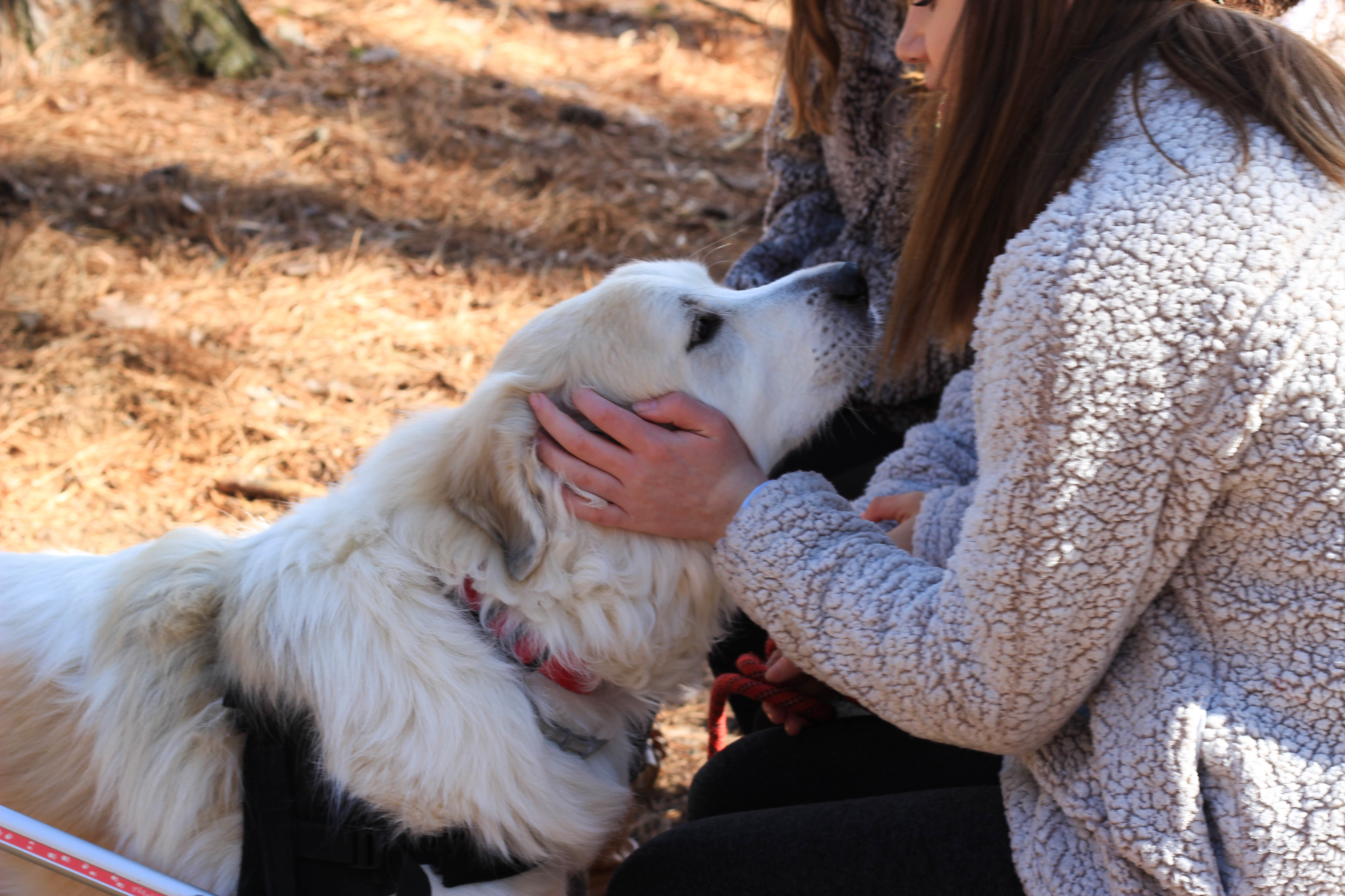 Nala photo 3