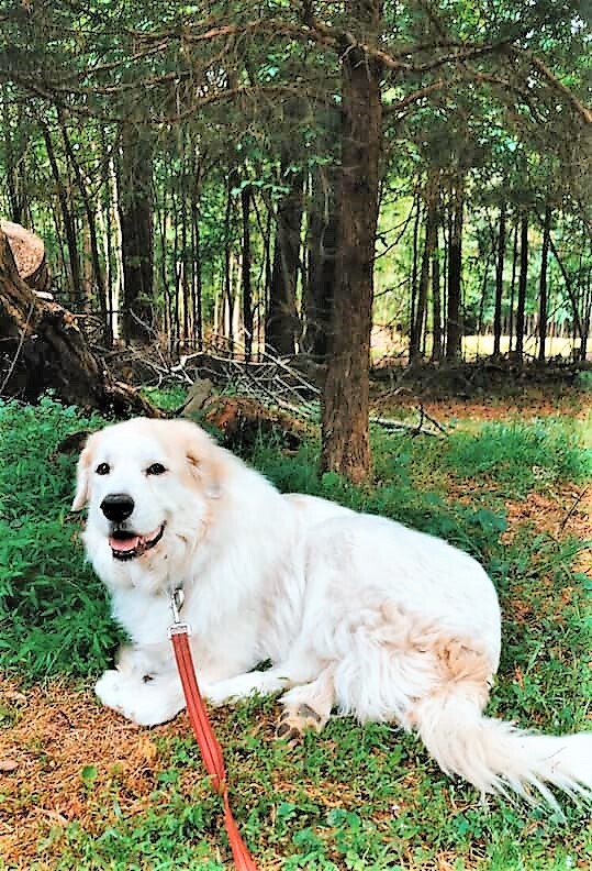 Nala photo 5