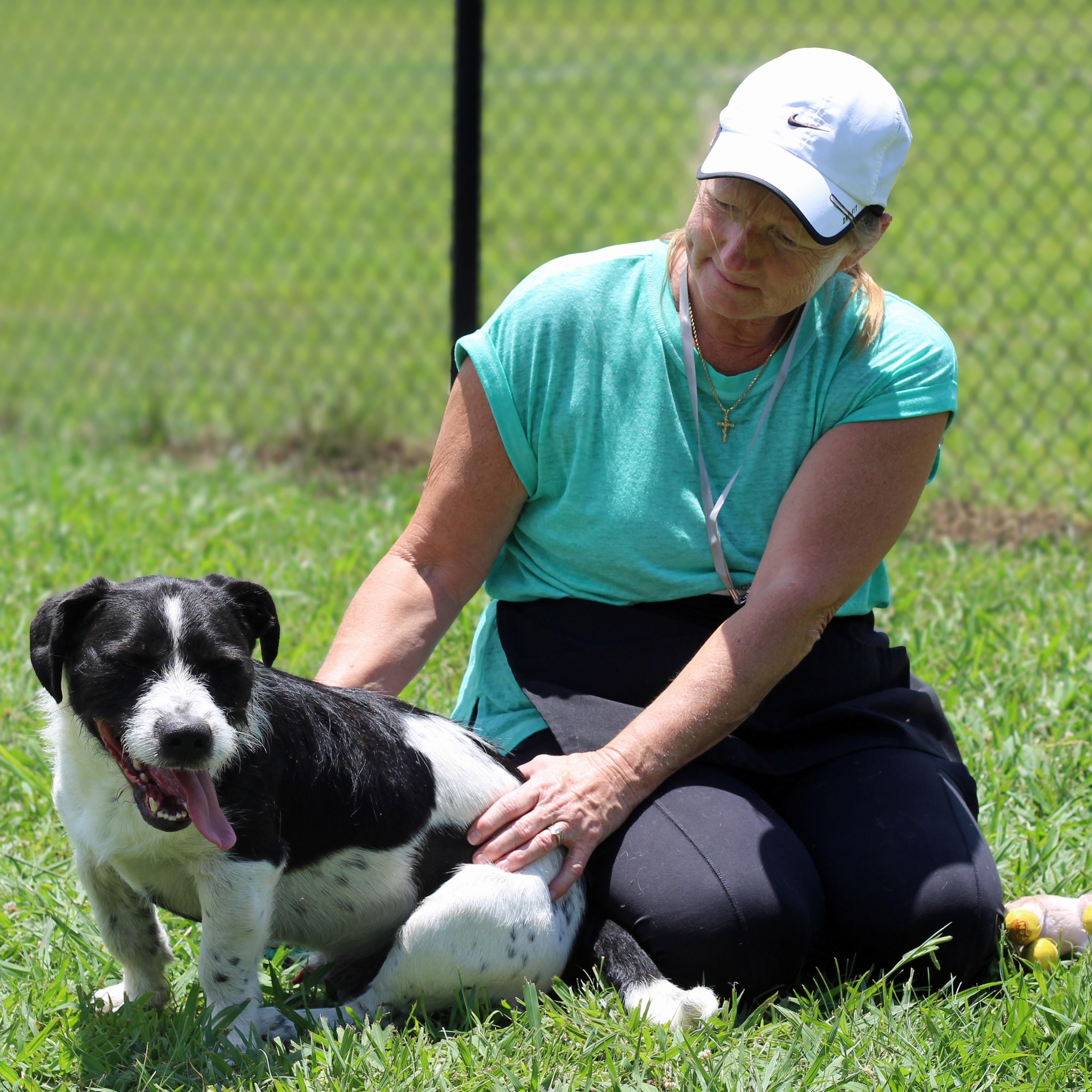 Enlarge Chewy, an adopted mixed breed in Lebanon, TN image 2/6