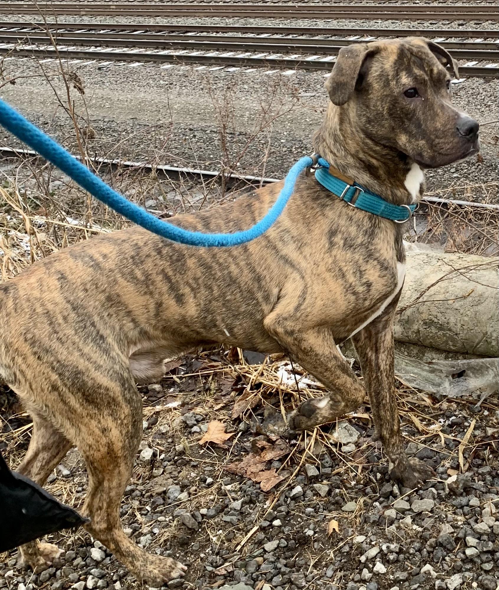 Milton — thumbnail 3