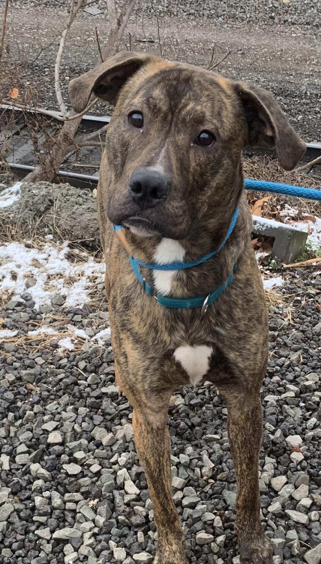 Milton — thumbnail 5