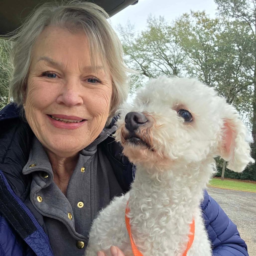 Scooter — thumbnail 4