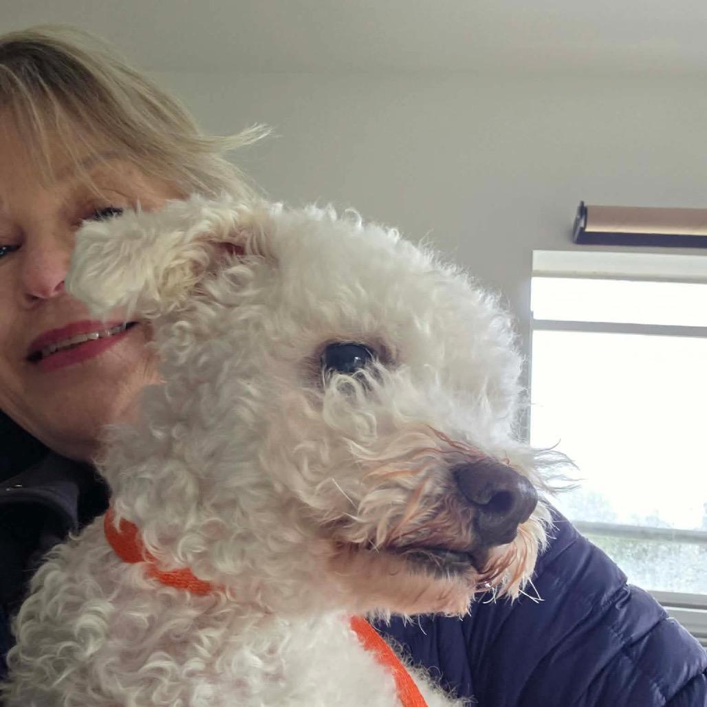 Scooter — thumbnail 6