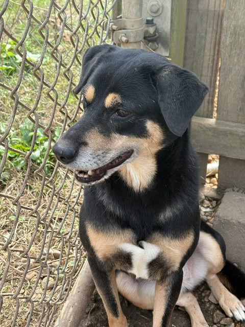 Naomi Judd — thumbnail 3