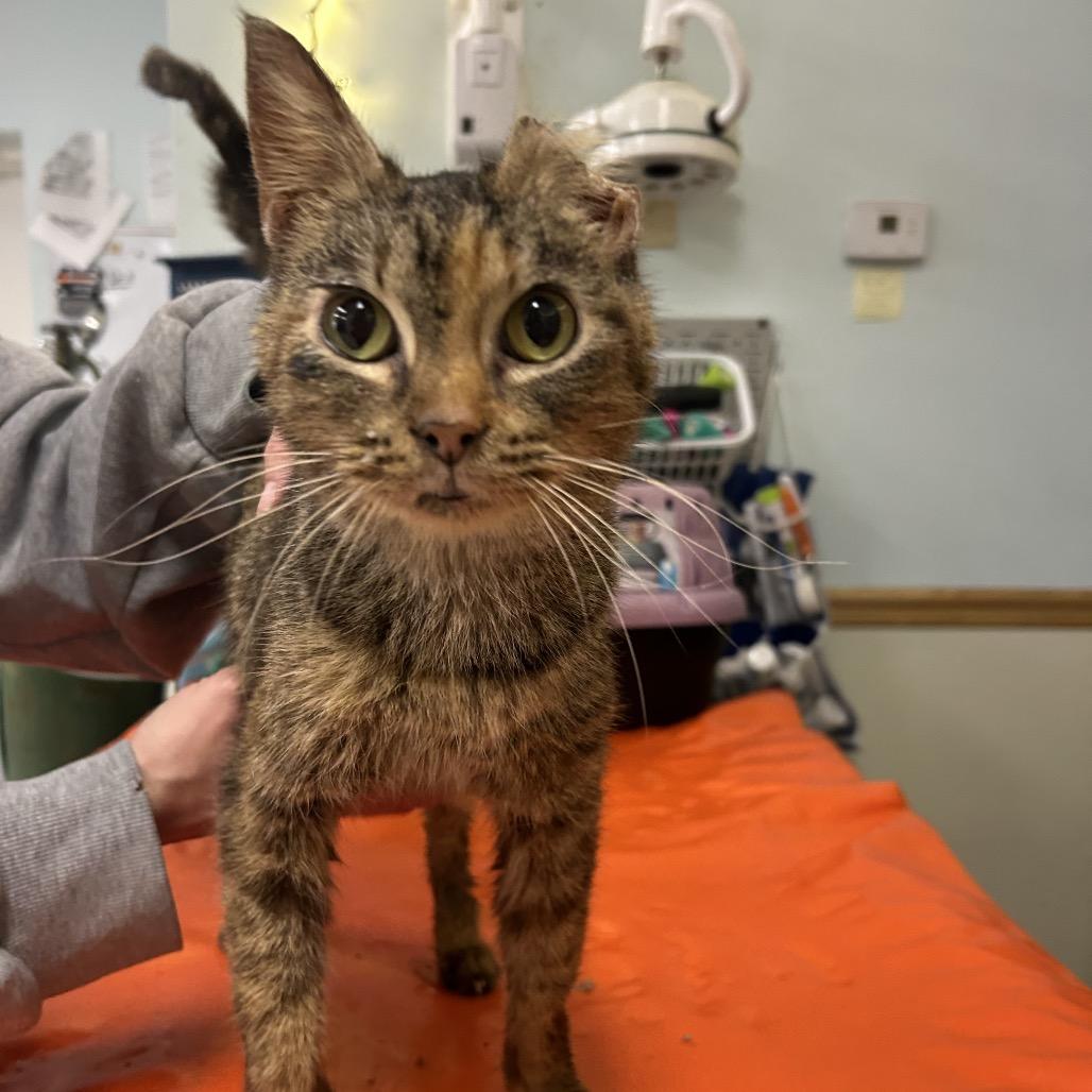 Daria — thumbnail 2