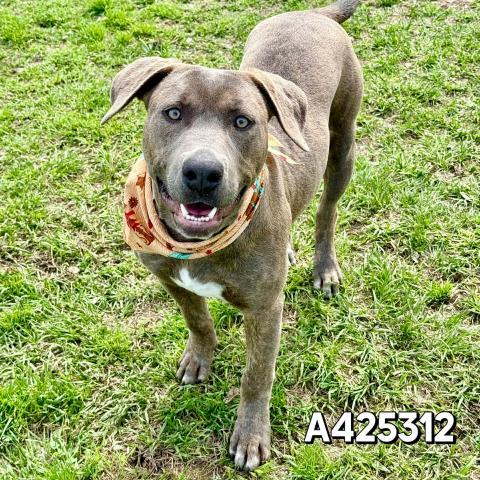 MAVERICK — thumbnail 2