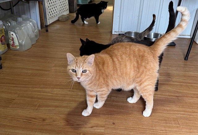 Mountain Boy — thumbnail 2