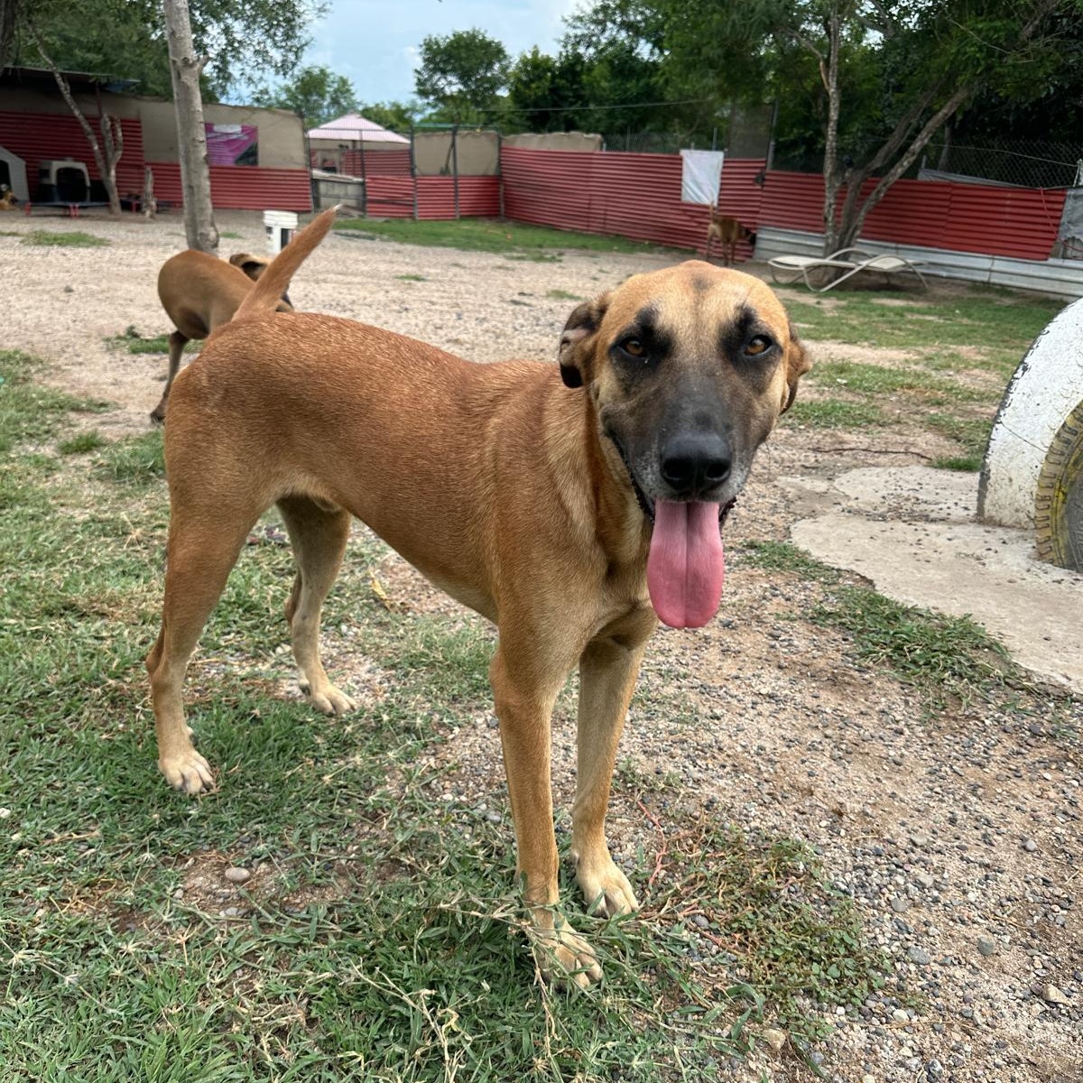 Jay Z — thumbnail 6