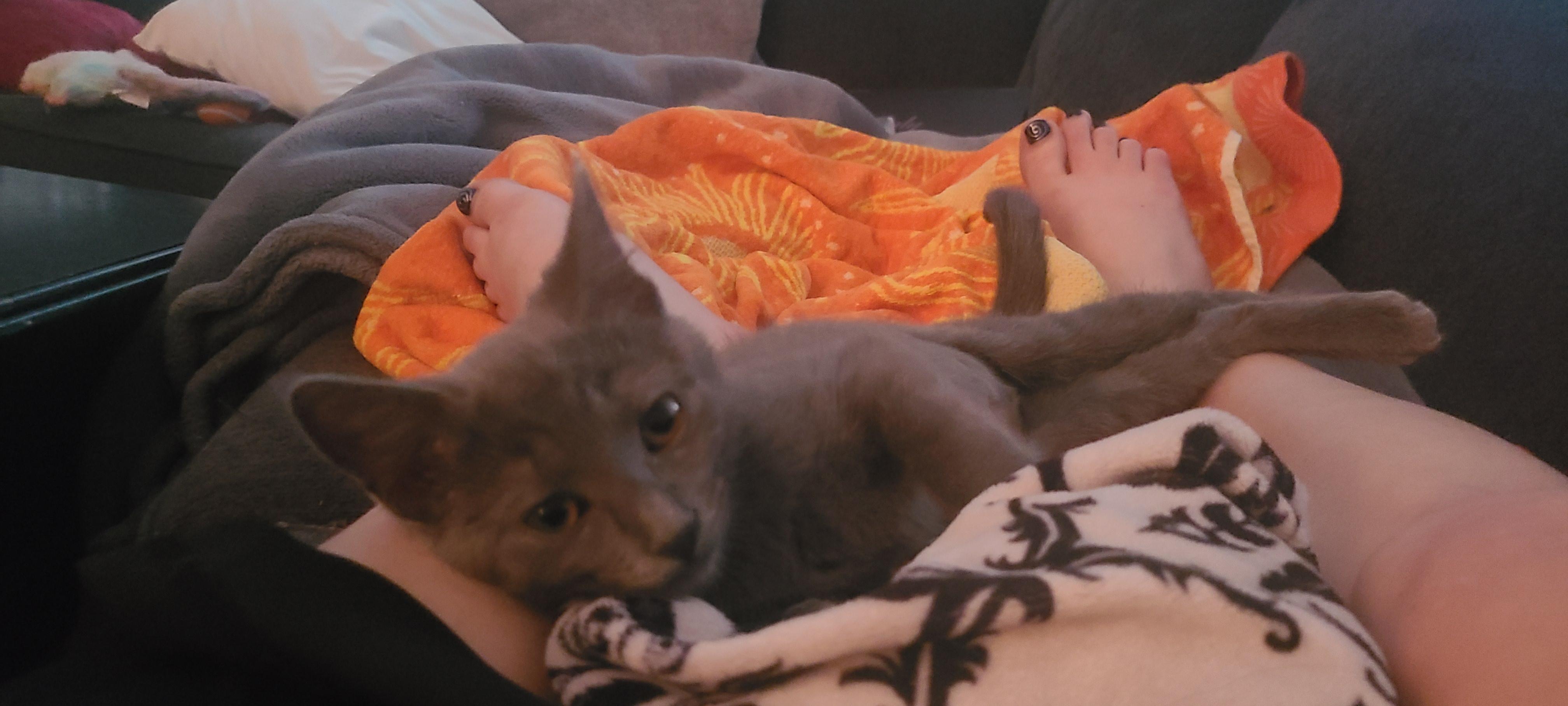 Misty (FCID# 06/11/2025 - 10) DC