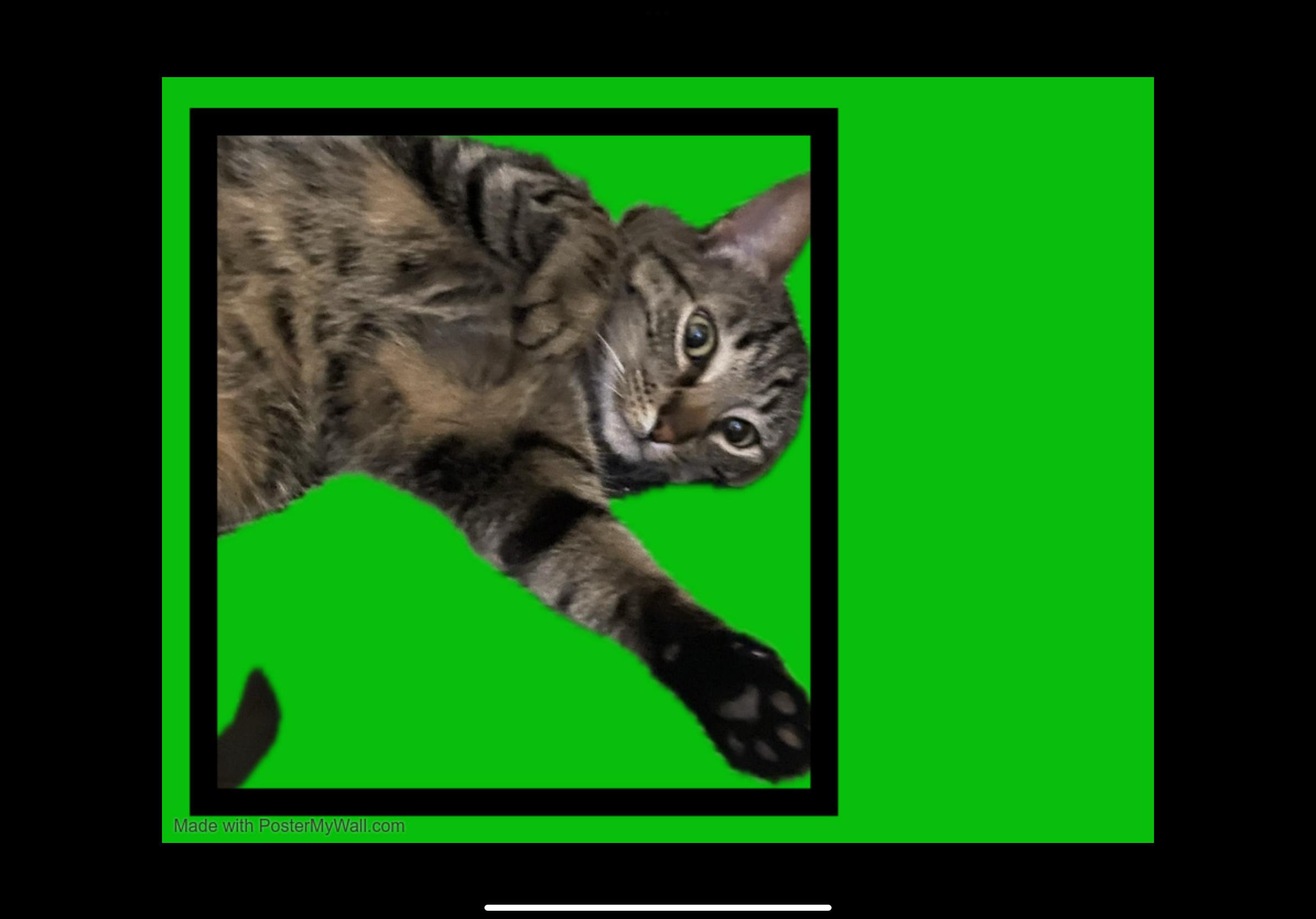 Chaos Girl & Cheeto thumbnail 2