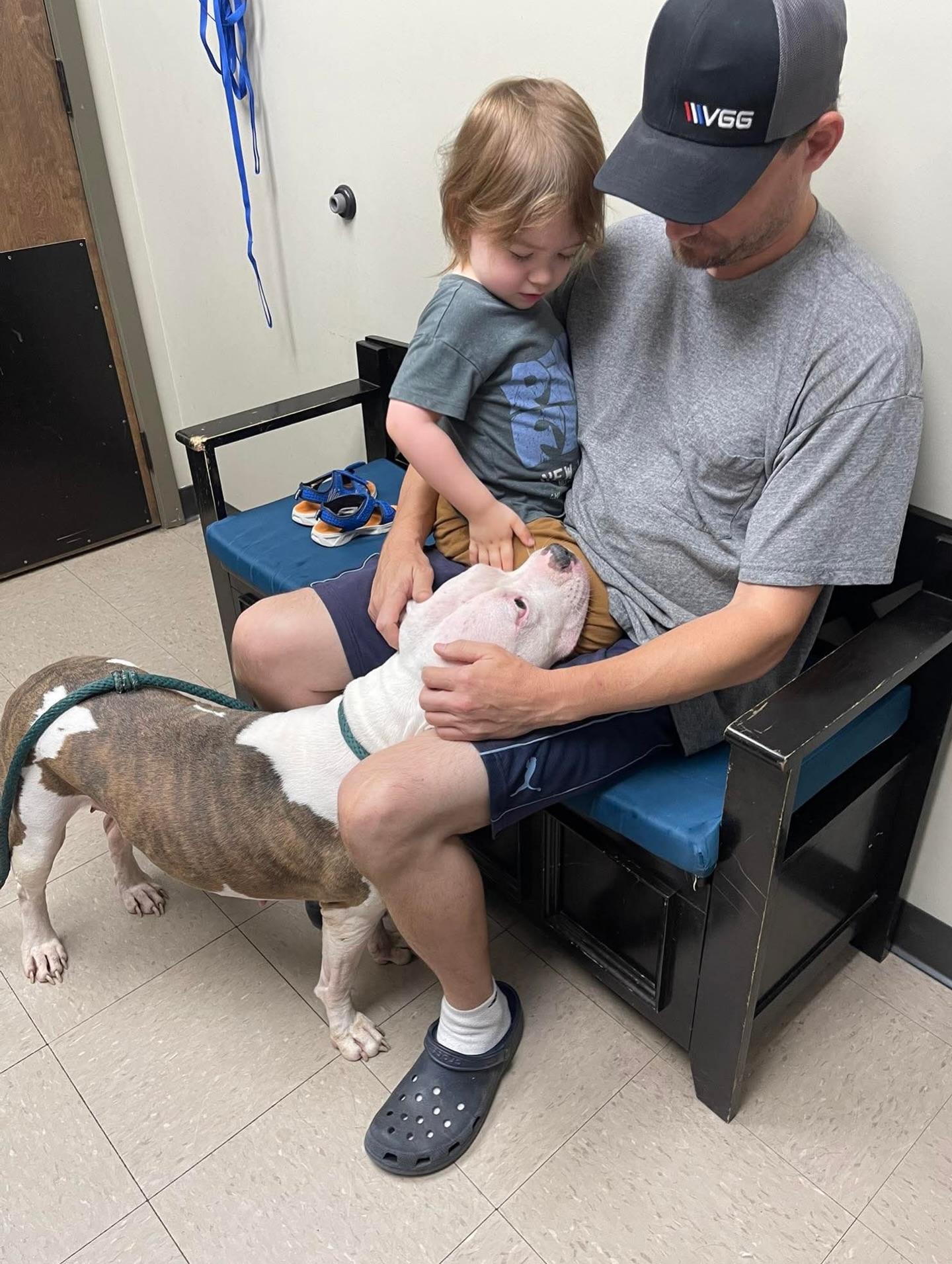 Apricot, a ADOPTABLE mixed breed in Salem, NH image 5/5