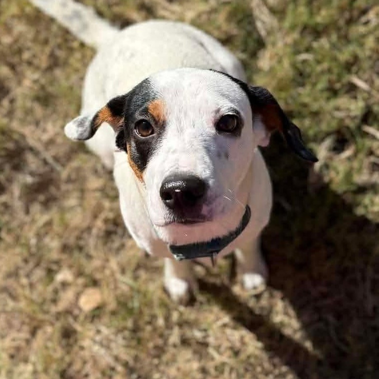 Denise — thumbnail 3