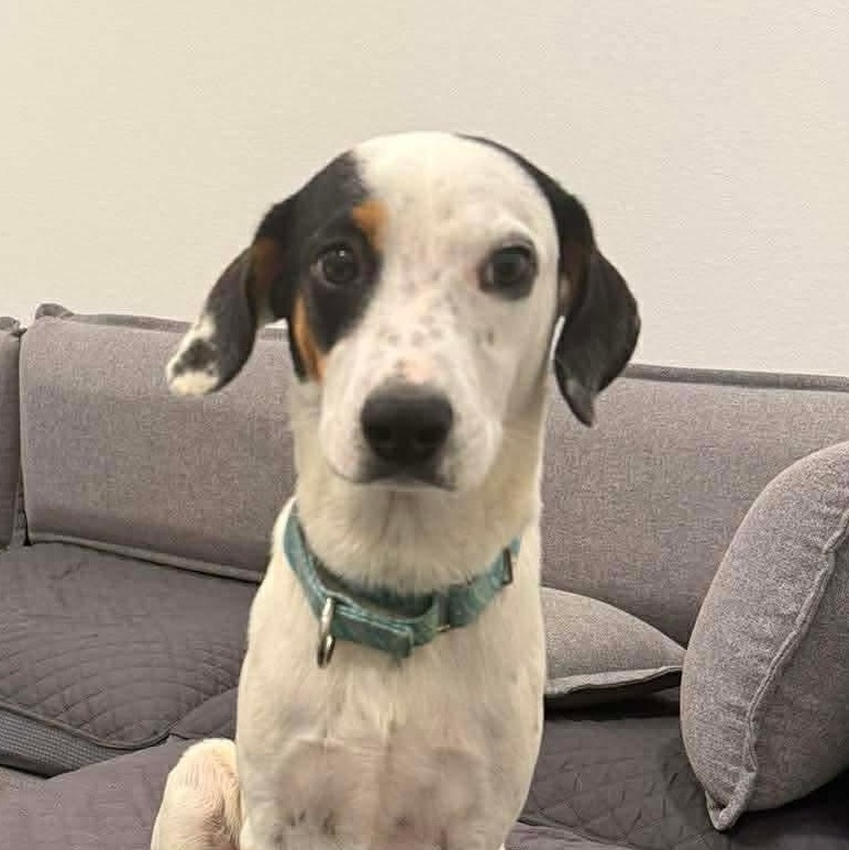 Denise — thumbnail 6