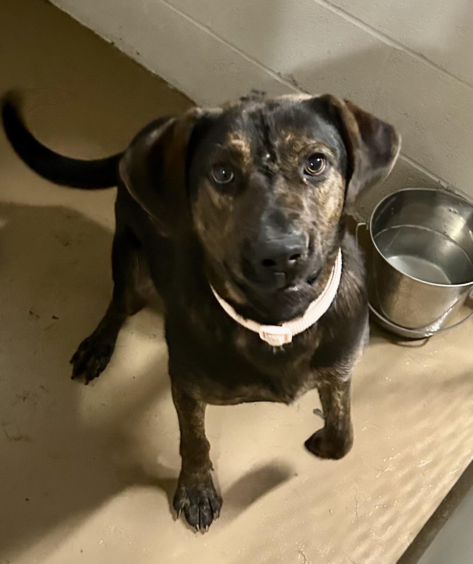 Bunny- euth @ AC 8/25!