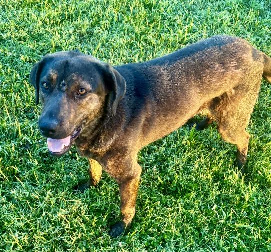 Bunny- euth @ AC 8/25!