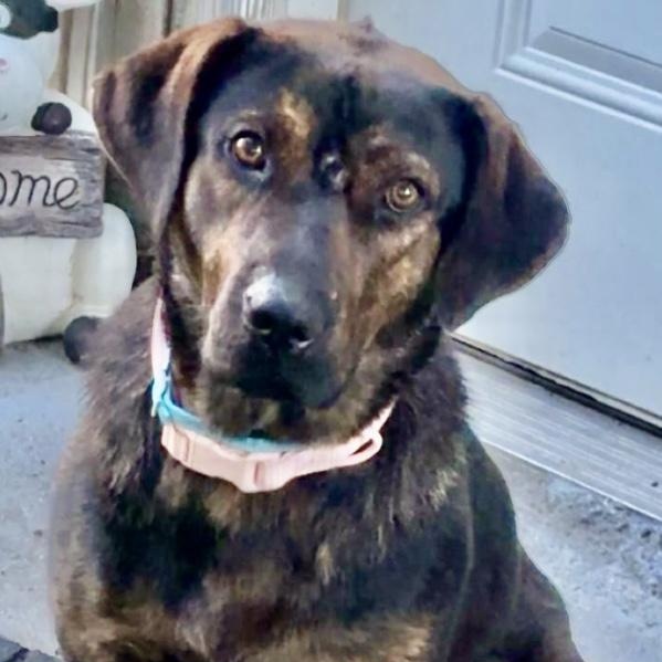 Bunny- euth @ AC 8/25!