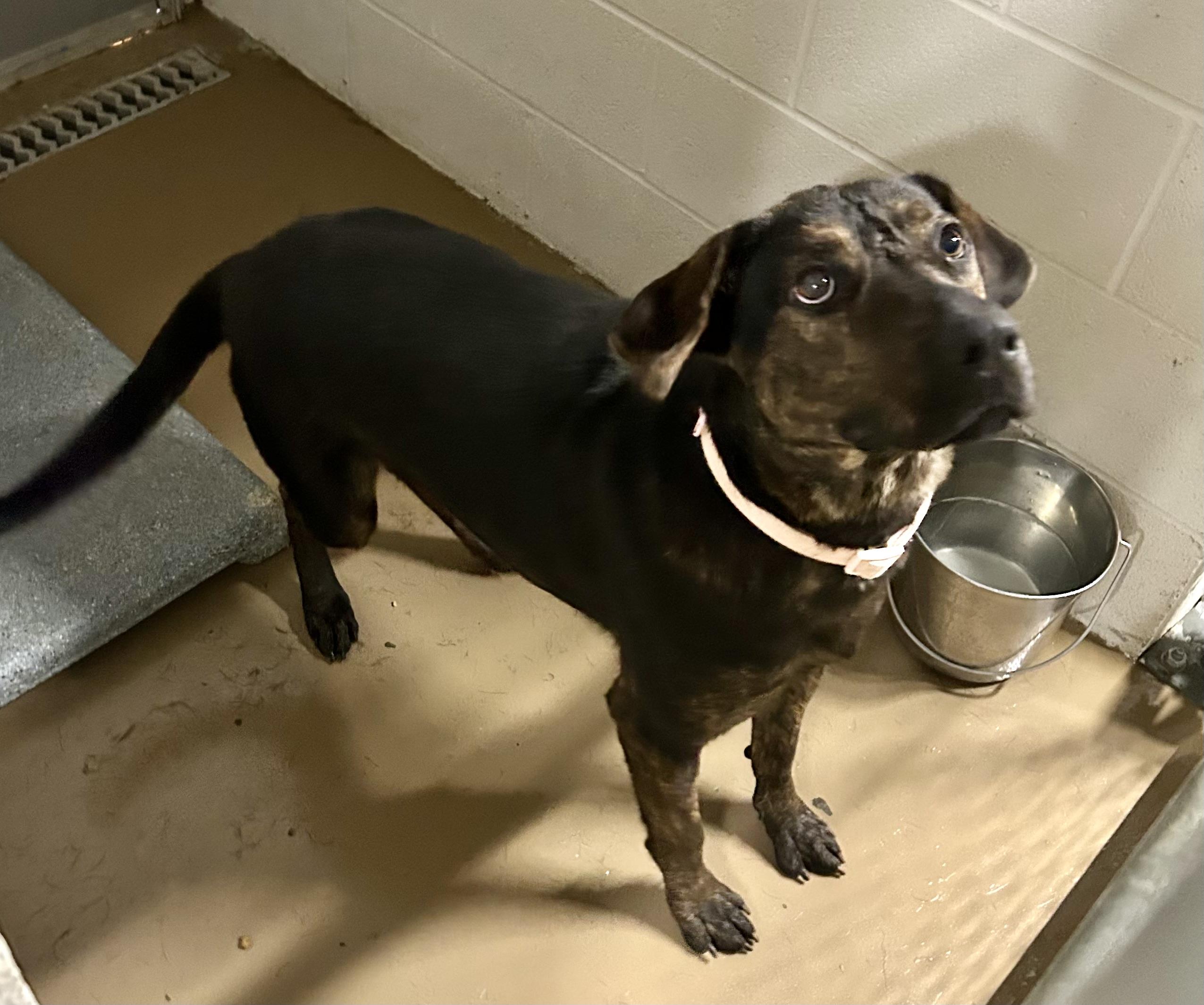 Bunny- euth @ AC 8/25!