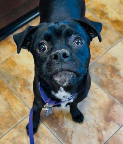 Sherlock thumbnail 3