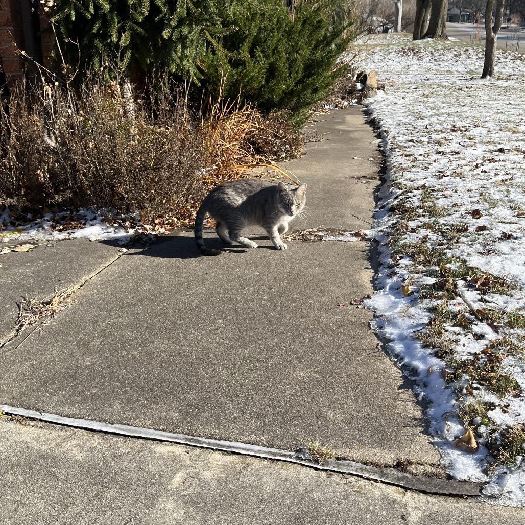 Momma — thumbnail 2