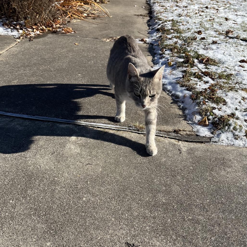 Momma — thumbnail 3