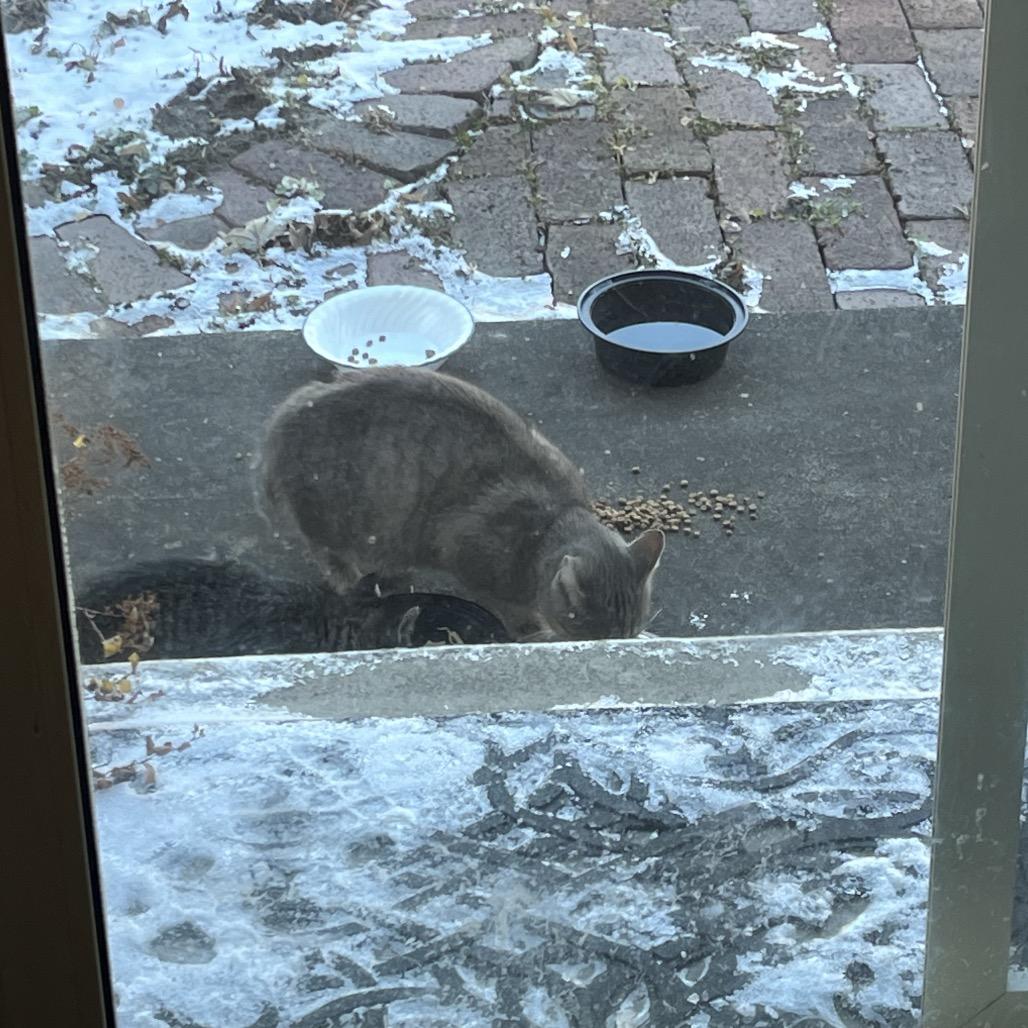 Momma — thumbnail 4