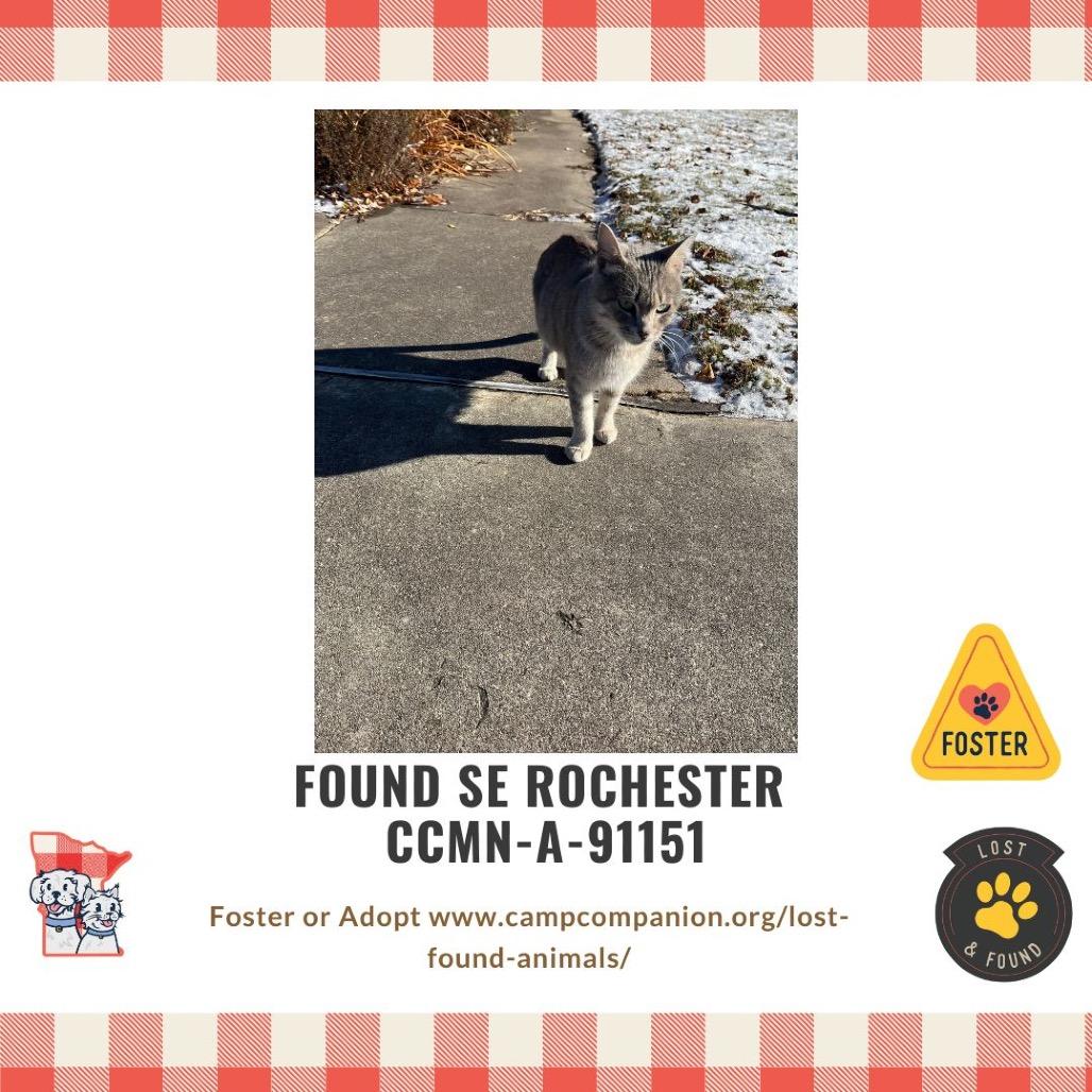 Momma — thumbnail 5