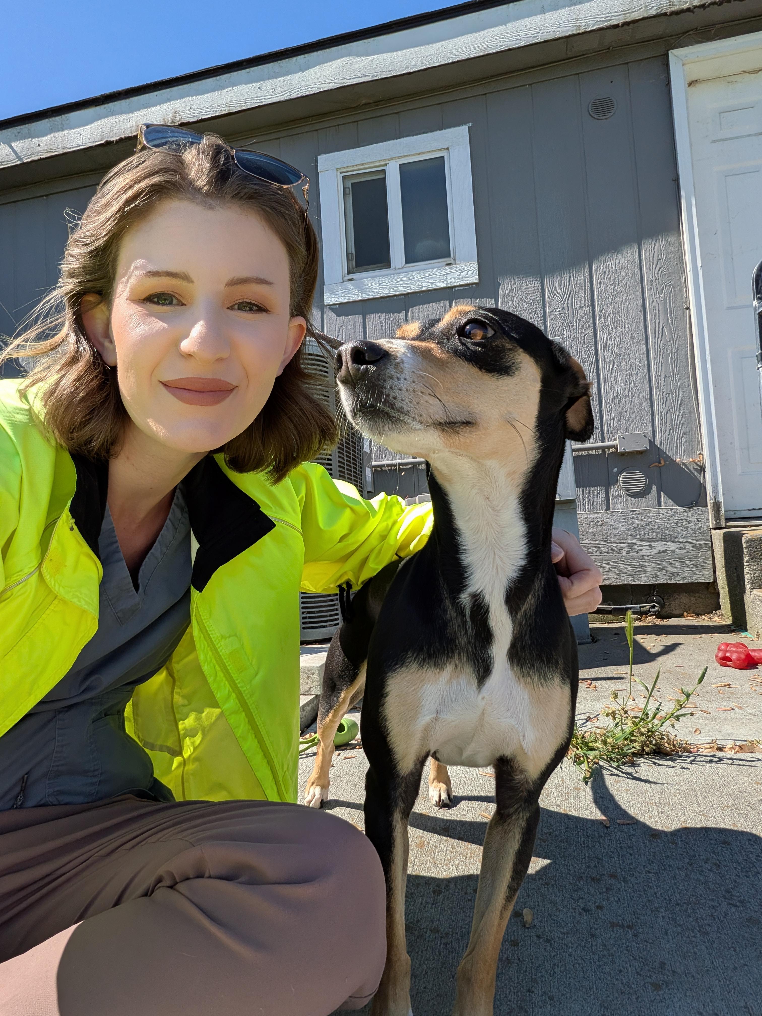 Ruby, an adopted mixed breed in Hermiston, OR image 2/3