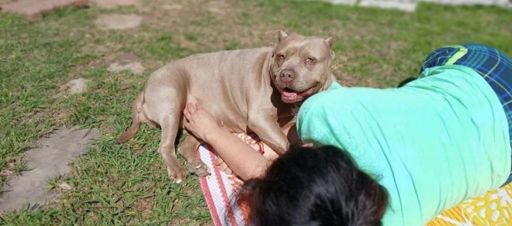 Enlarge Maia Rain, a Adoptable mixed breed in Brookshire, TX image 4/5