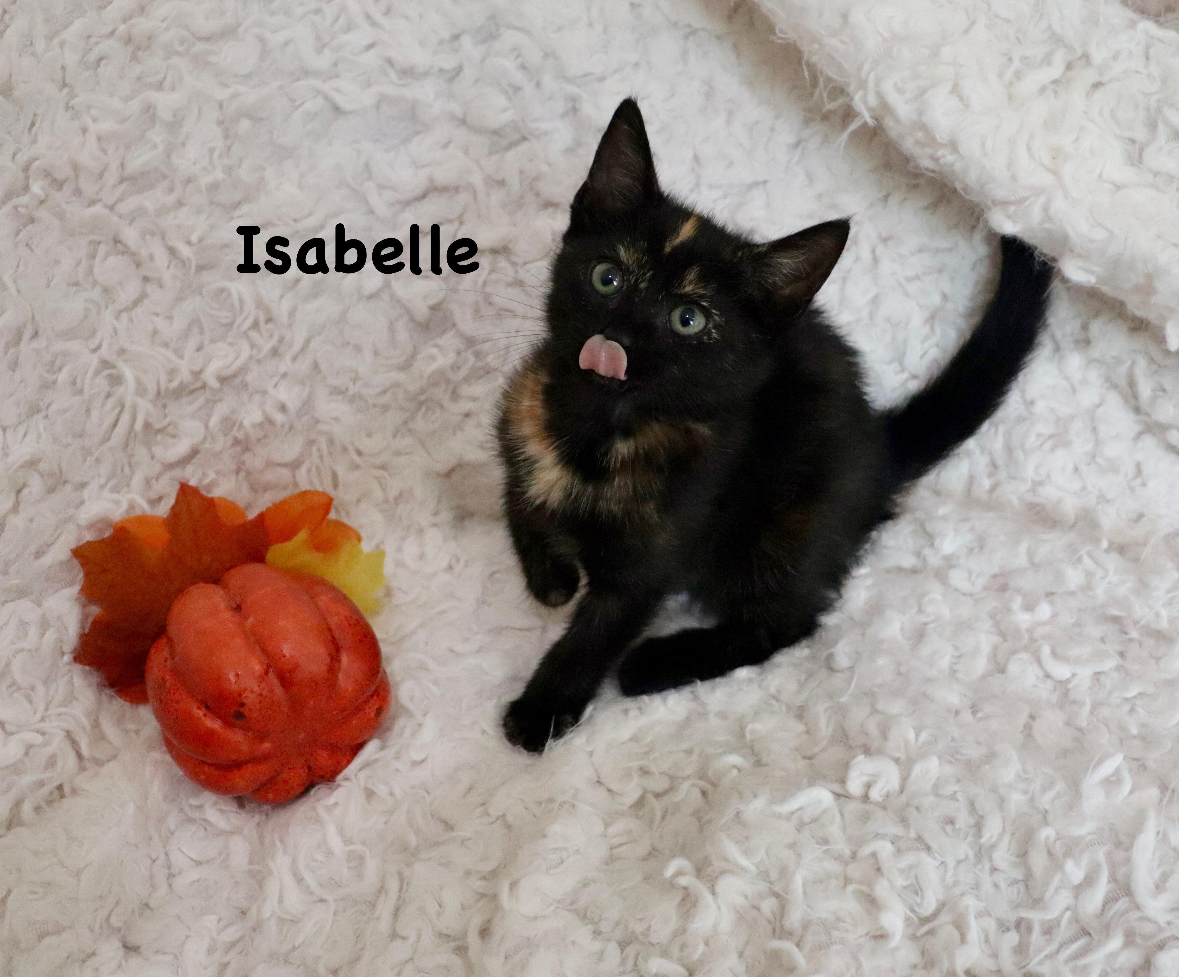 Isabelle
