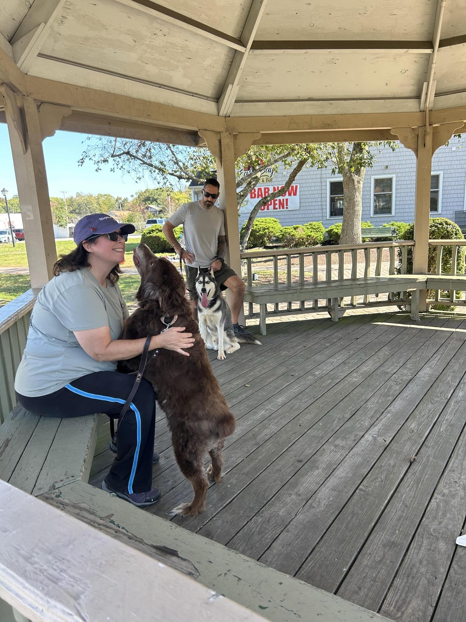 Enlarge Scout, a Adoptable Australian Shepherd in North Haledon, NJ image 3/6