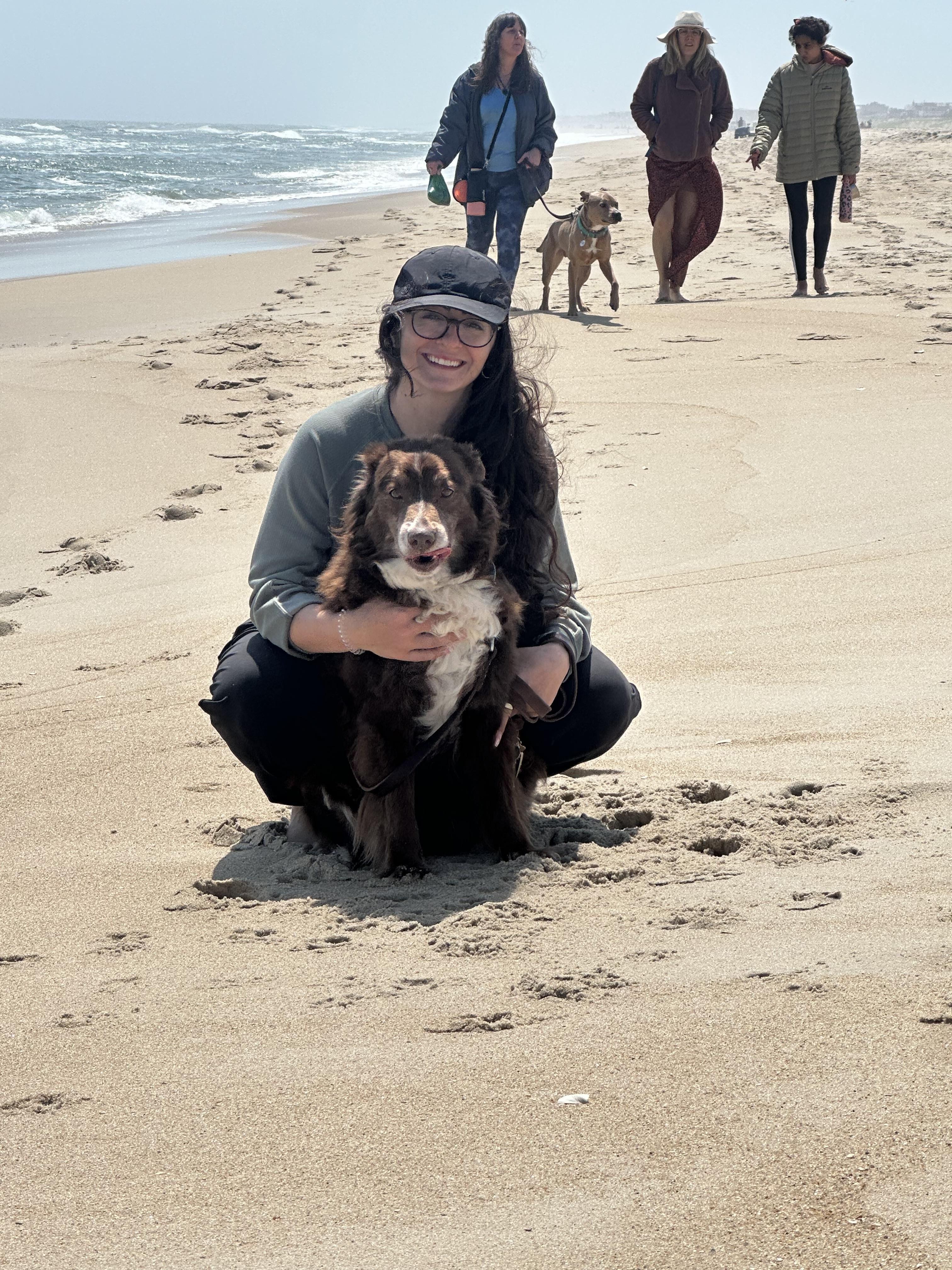 Scout, a Adoptable Australian Shepherd in North Haledon, NJ image 4/6