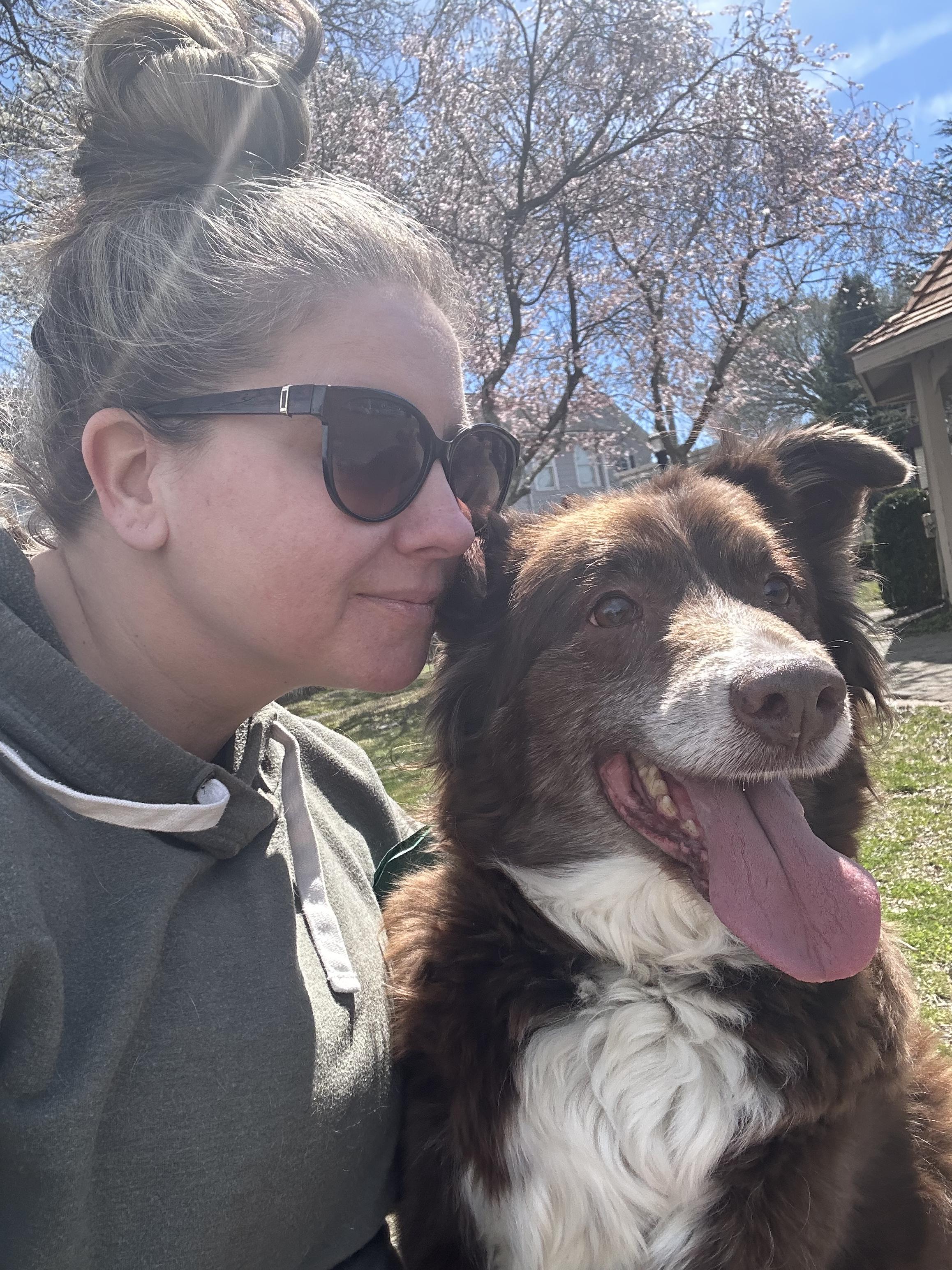 Scout, a Adoptable Australian Shepherd in North Haledon, NJ image 5/6