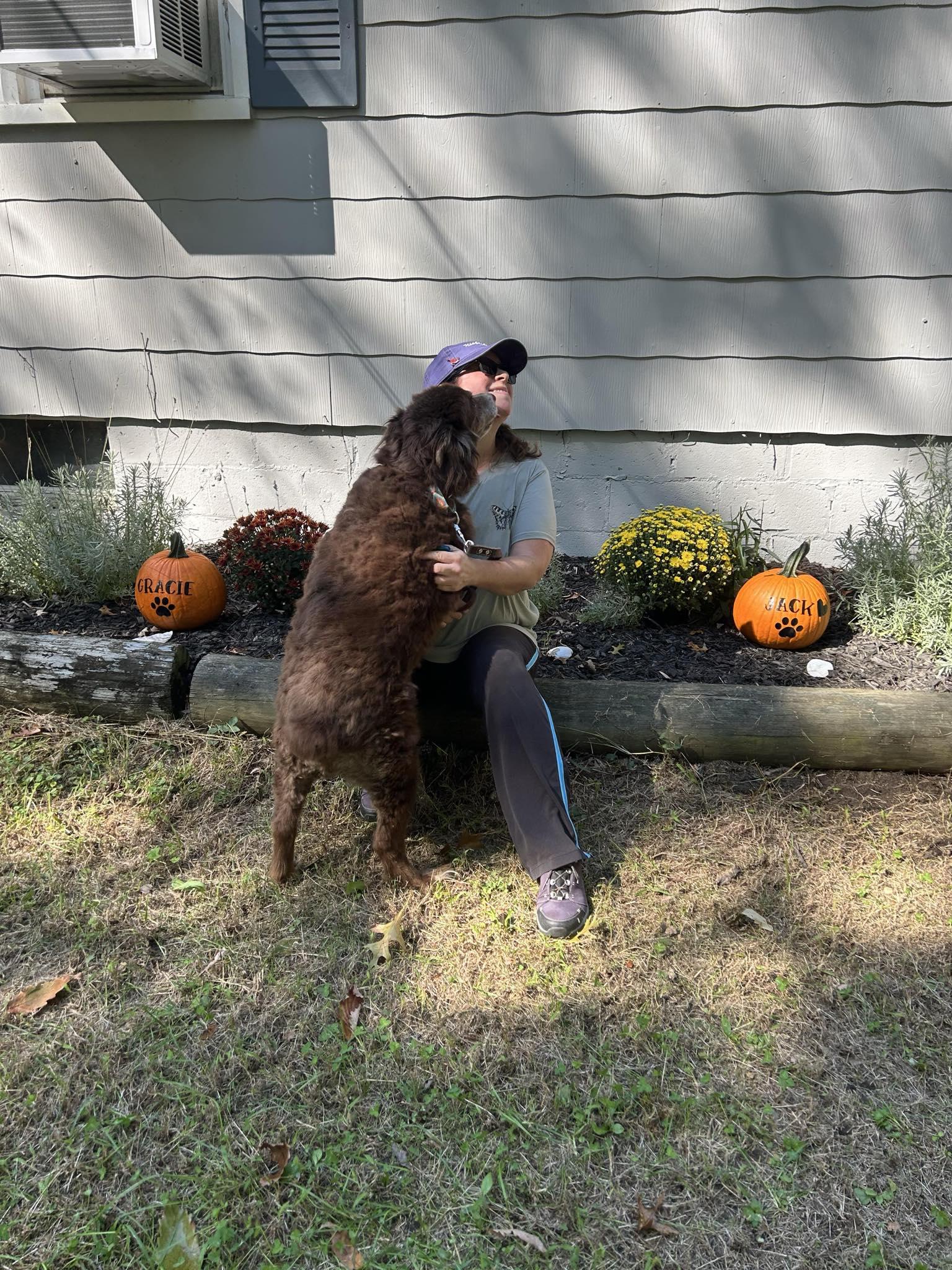 Enlarge Scout, a Adoptable Australian Shepherd in North Haledon, NJ image 5/6