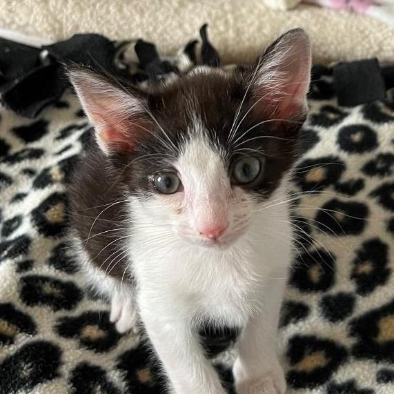 Gavin Avery thumbnail 4